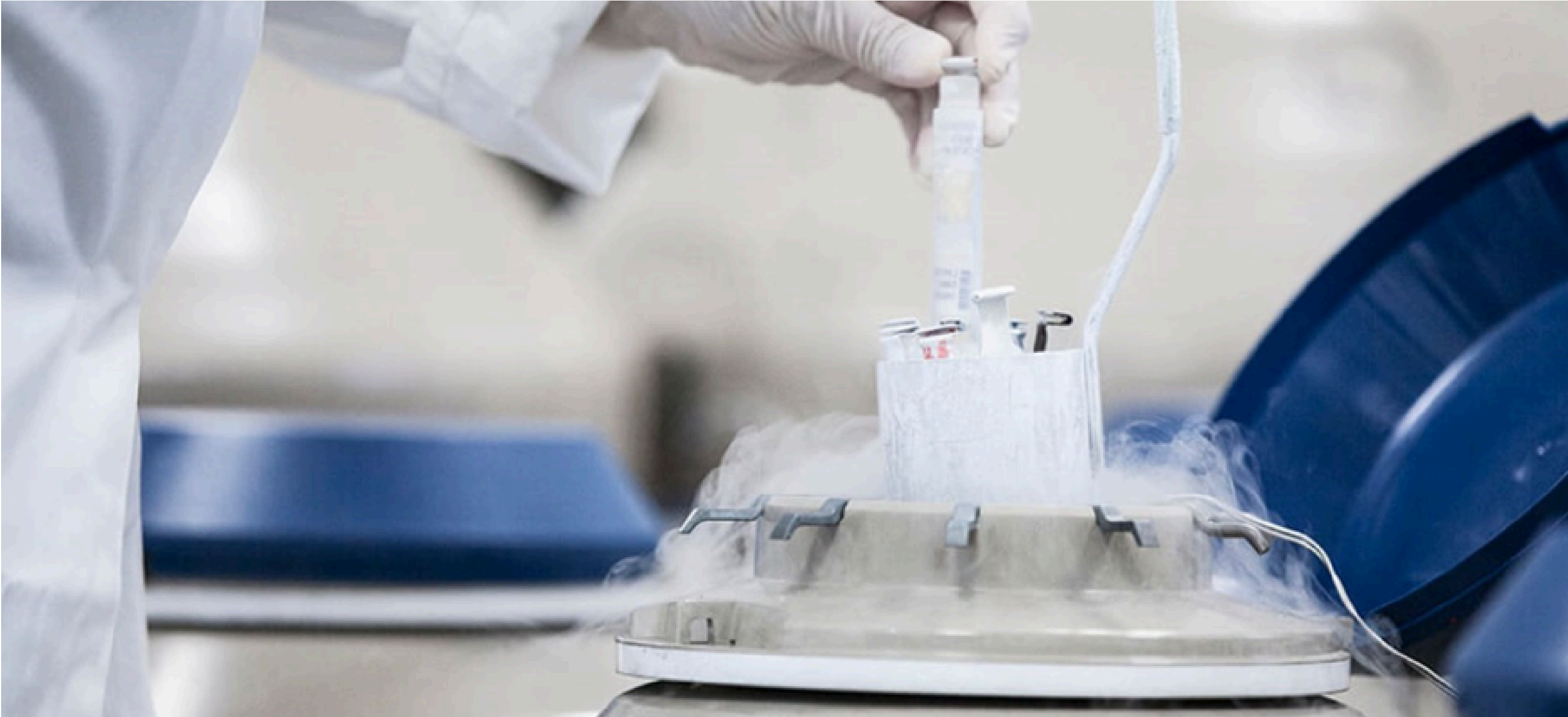 团队核对捐卵筛查清单